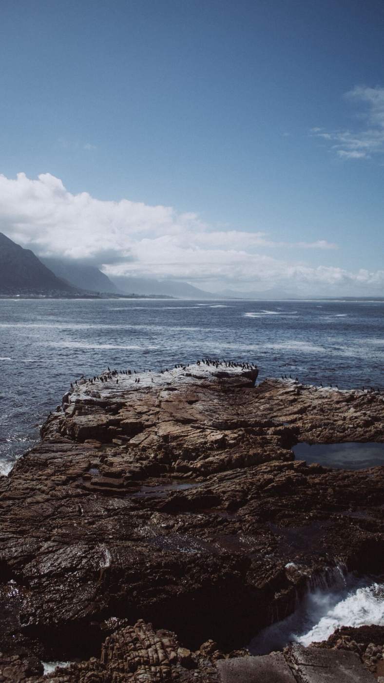 Cormorants on dark coastal rocks above Walker Bay, with mountains and clouds behind